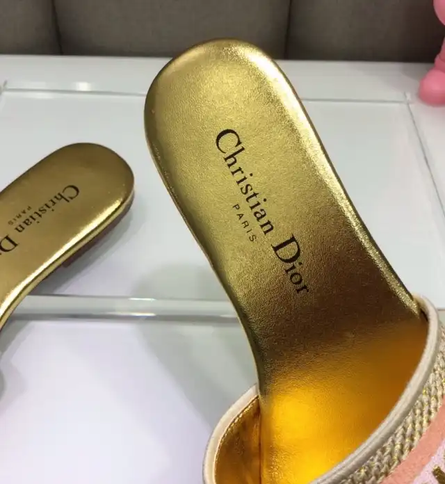 hype Christian Dior Slippers