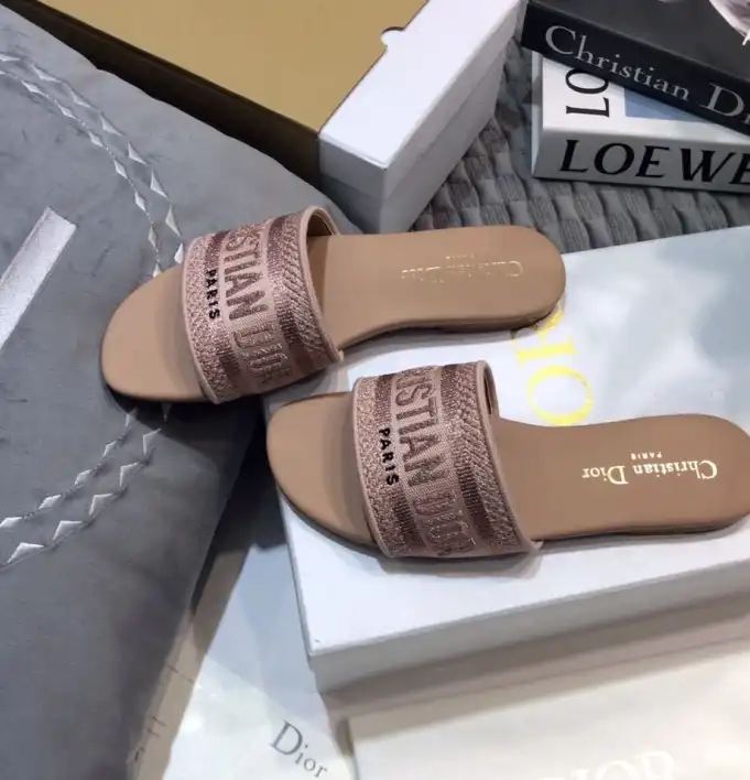 hype Christian Dior Slippers