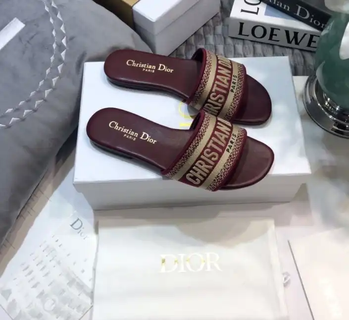 hype Christian Dior Slippers