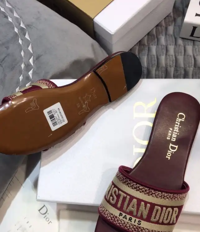 hype Christian Dior Slippers