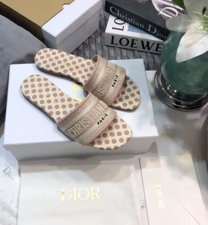 hype Christian Dior Slippers