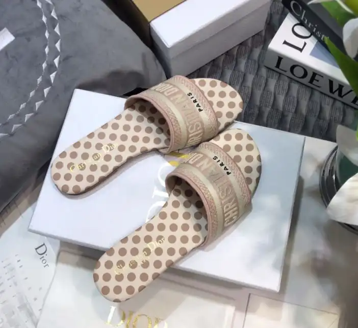 hype Christian Dior Slippers