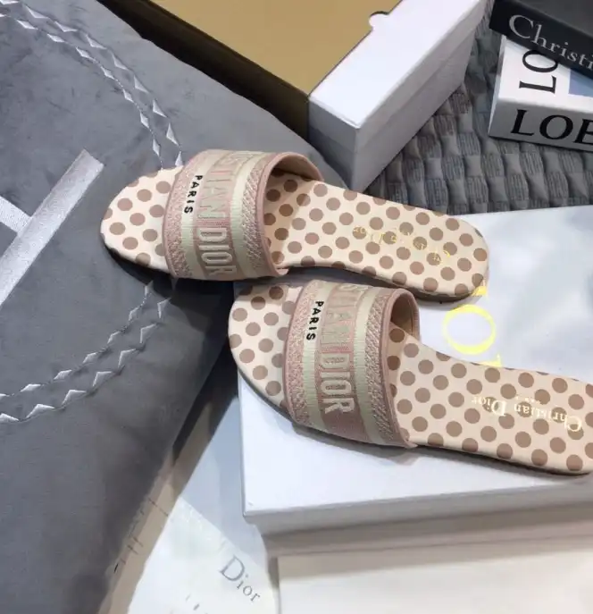 hype Christian Dior Slippers