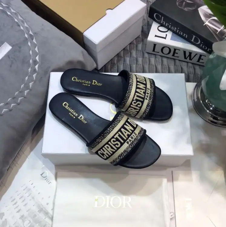 hype Christian Dior Slippers