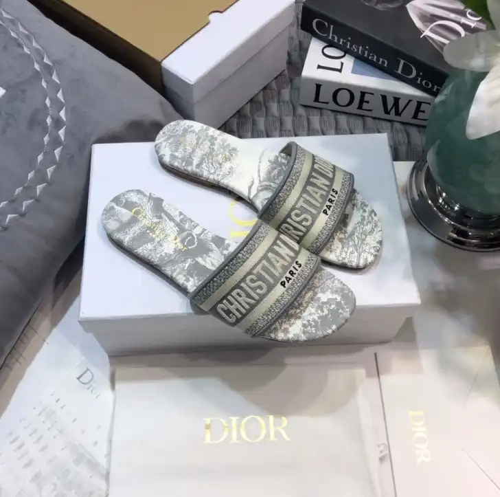 hype Christian Dior Slippers