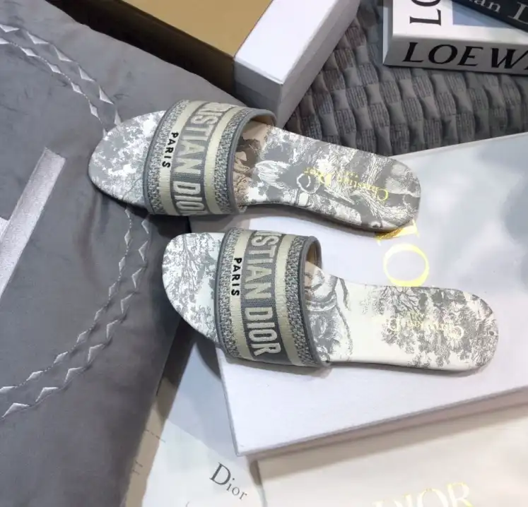 hype Christian Dior Slippers