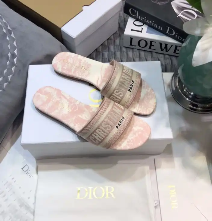 hype Christian Dior Slippers