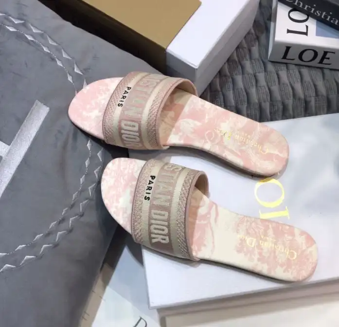 hype Christian Dior Slippers