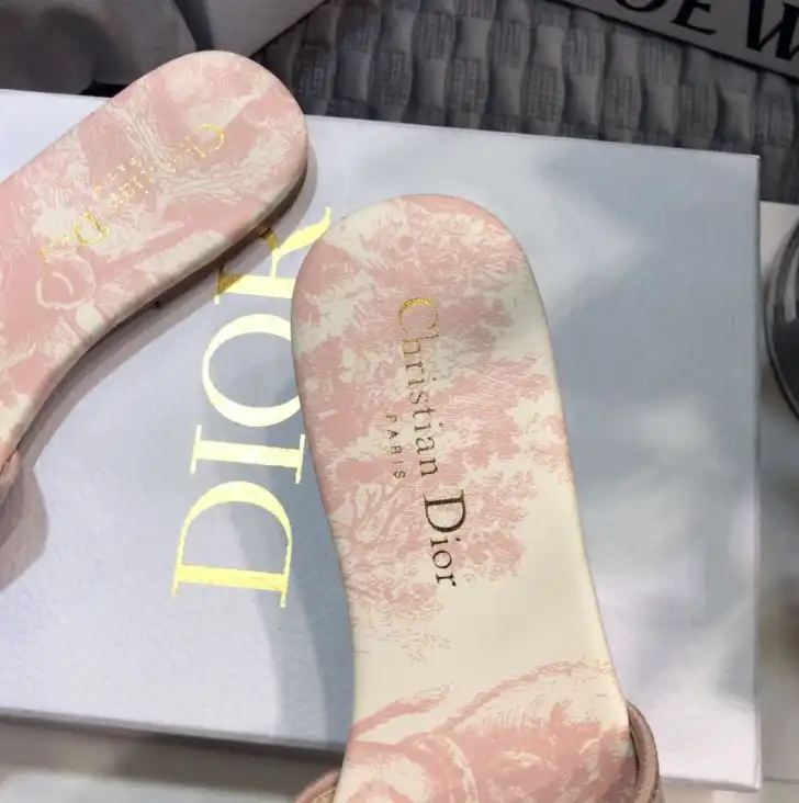 hype Christian Dior Slippers