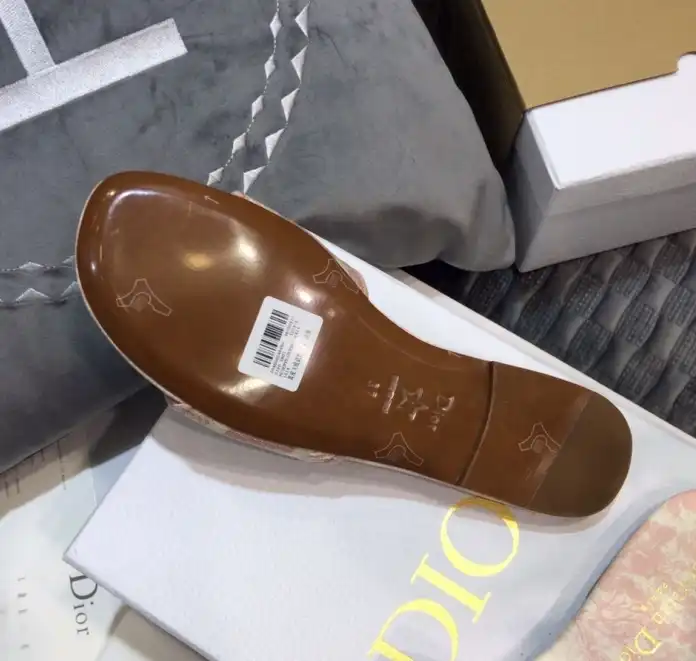 hype Christian Dior Slippers