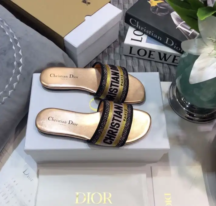 hype Christian Dior Slippers