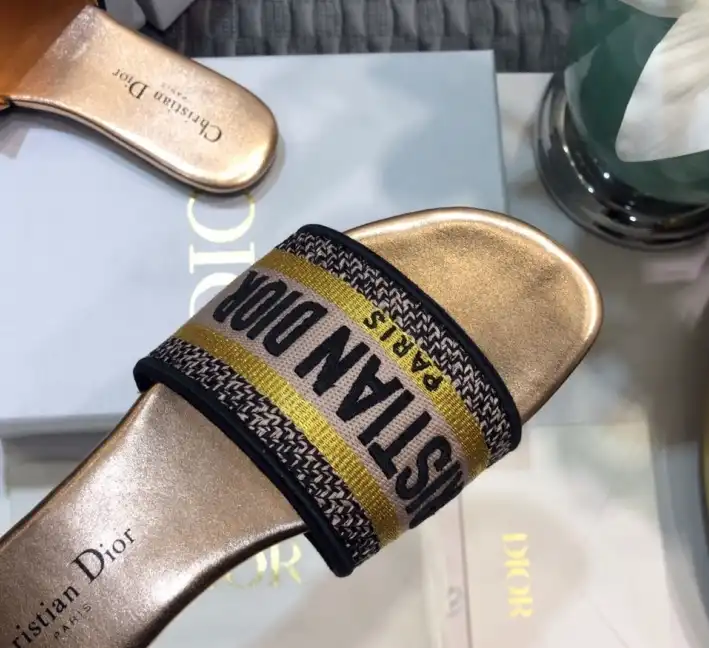 hype Christian Dior Slippers