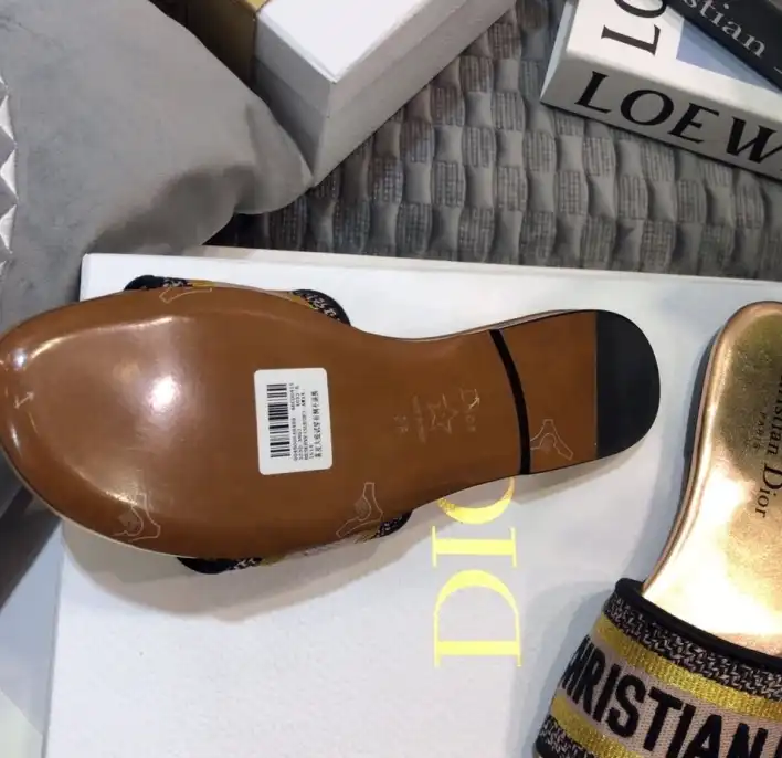 hype Christian Dior Slippers