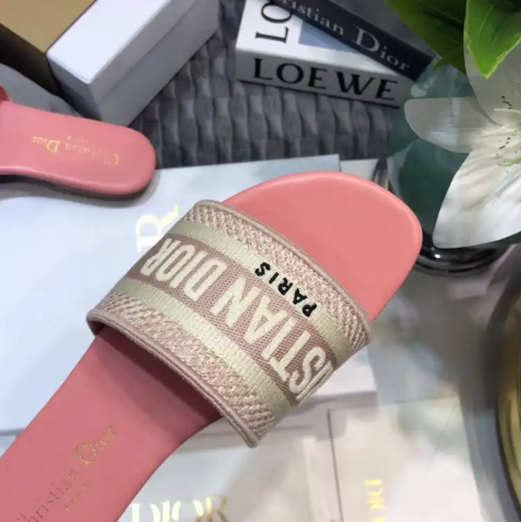 hype Christian Dior Slippers