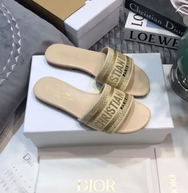 hype Christian Dior Slippers