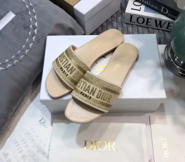 hype Christian Dior Slippers