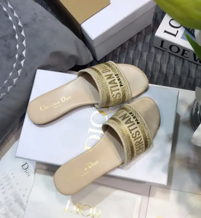 hype Christian Dior Slippers