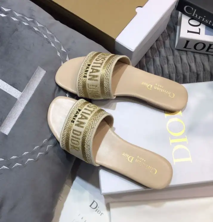 hype Christian Dior Slippers