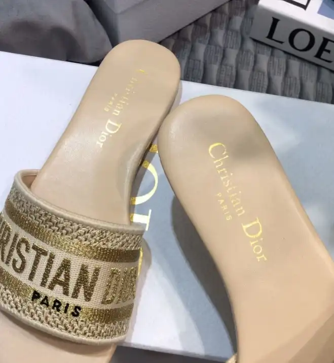 hype Christian Dior Slippers