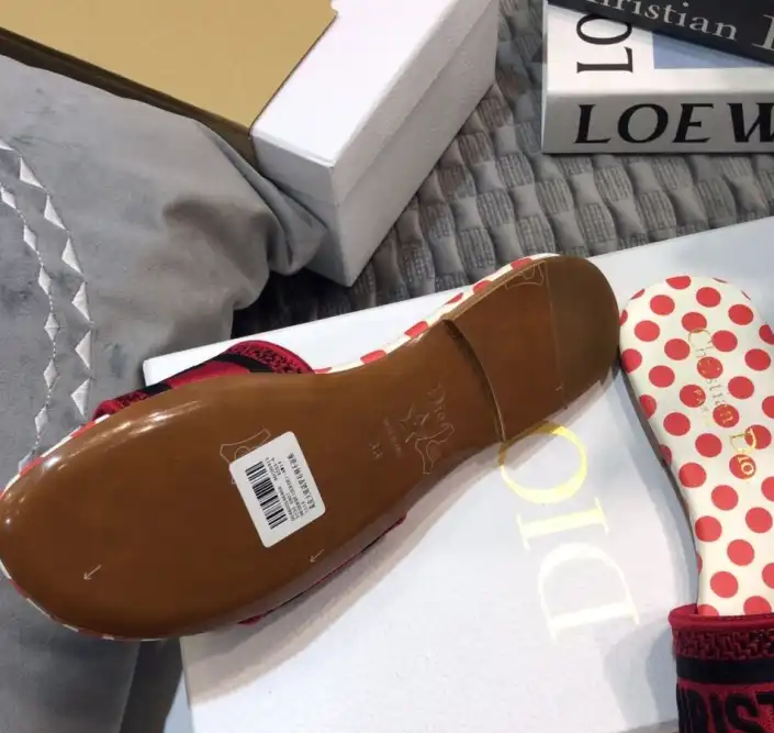 hype Christian Dior Slippers