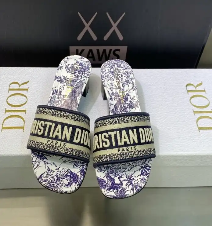 hype Christian Dior Slippers