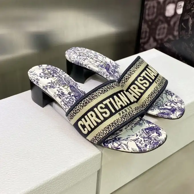 hype Christian Dior Slippers