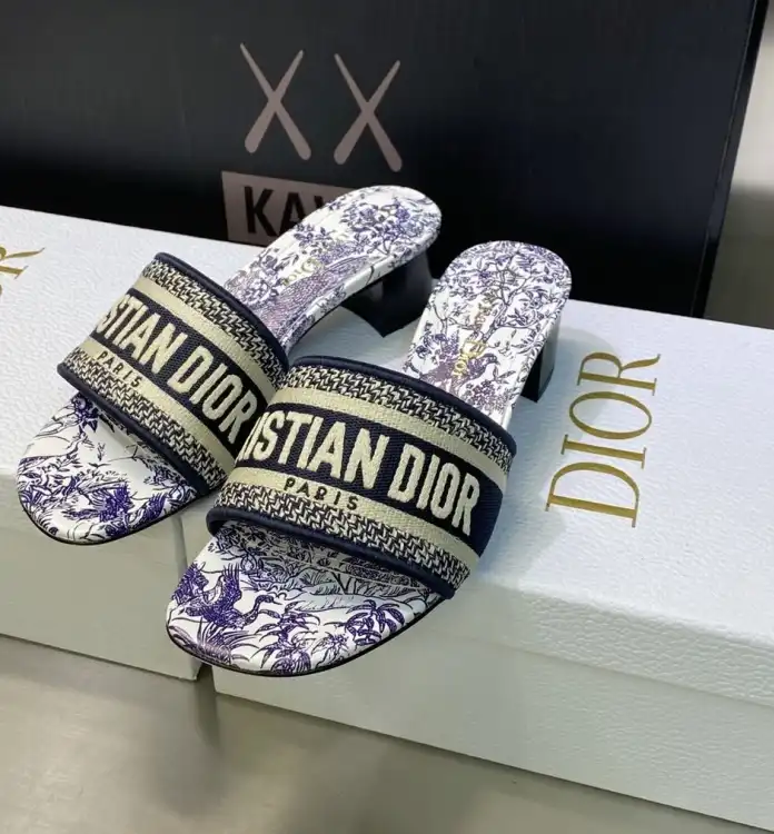 hype Christian Dior Slippers