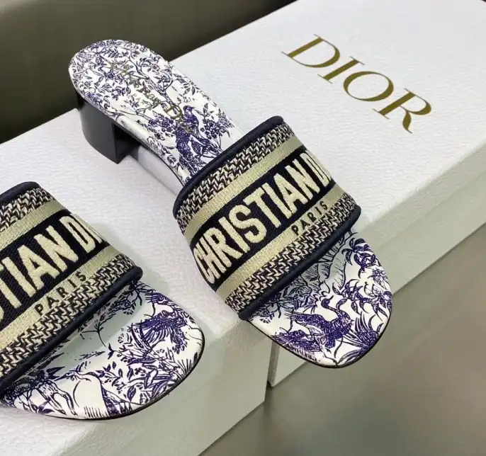 hype Christian Dior Slippers