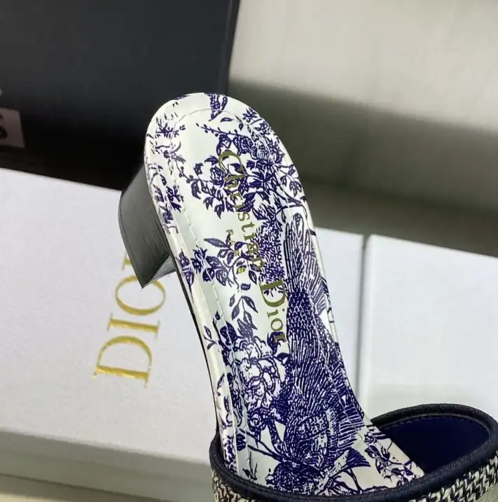 hype Christian Dior Slippers