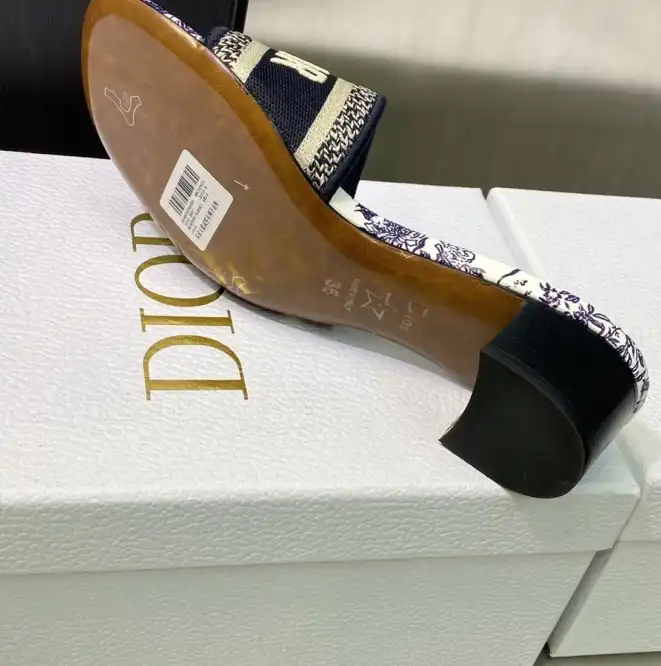 hype Christian Dior Slippers