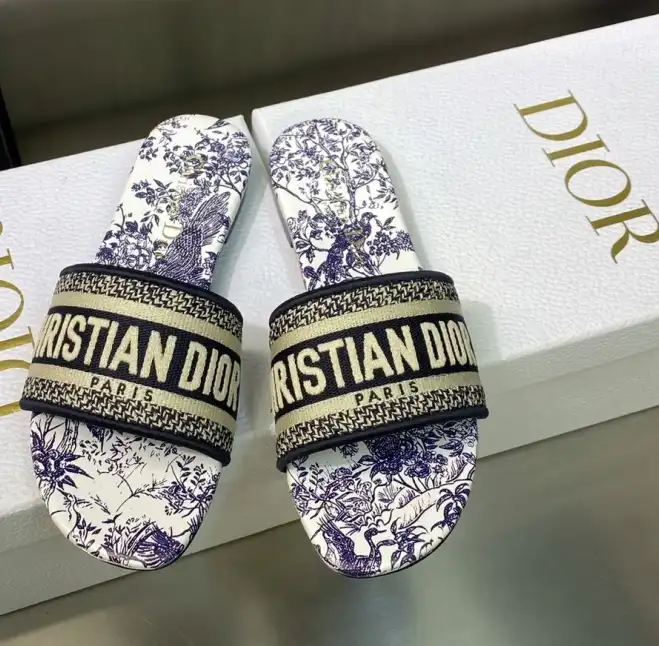 hype Christian Dior Slippers