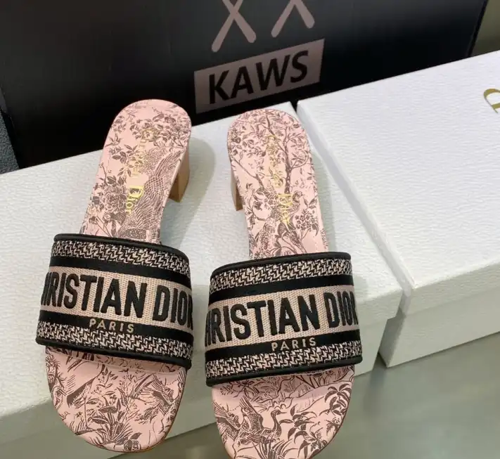 hype Christian Dior Slippers