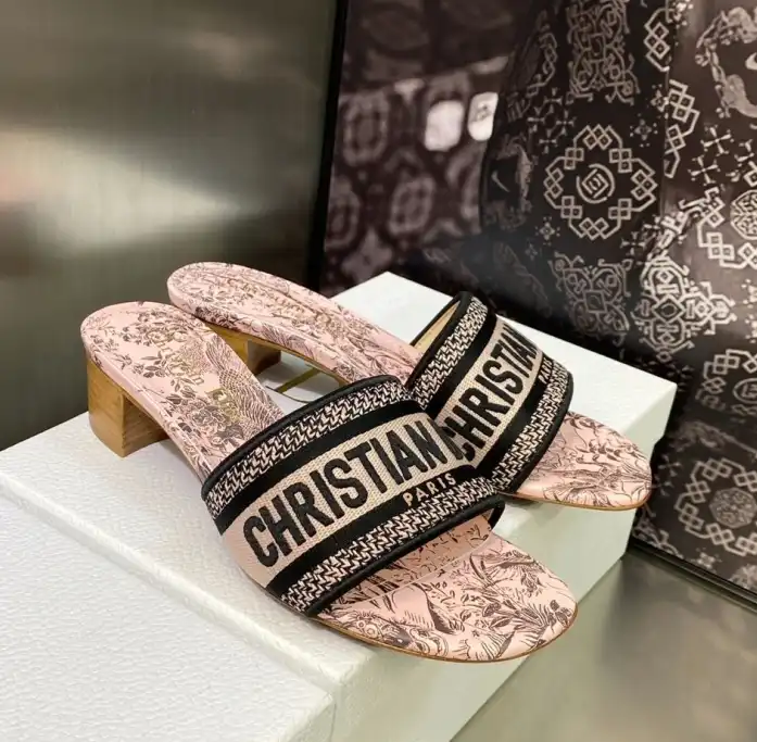 hype Christian Dior Slippers