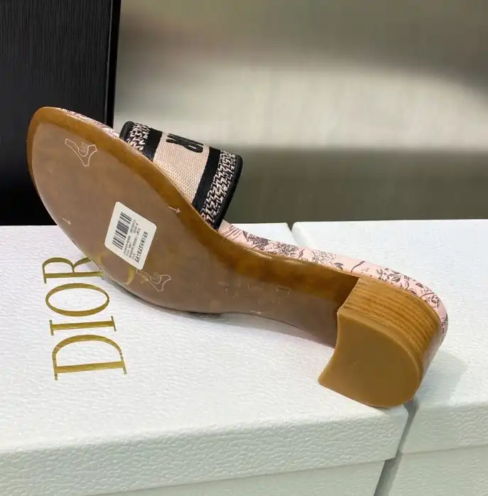 hype Christian Dior Slippers