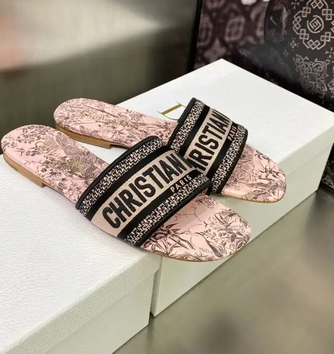 hype Christian Dior Slippers