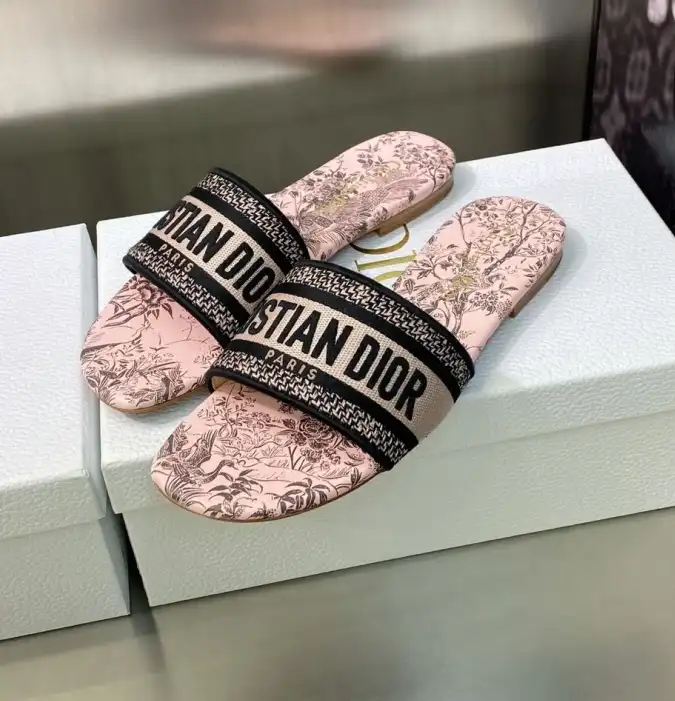 hype Christian Dior Slippers