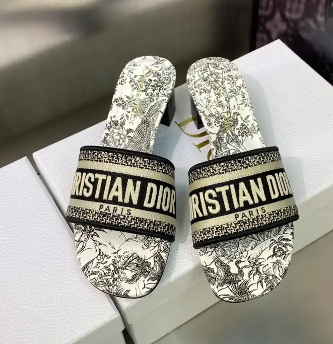 hype Christian Dior Slippers