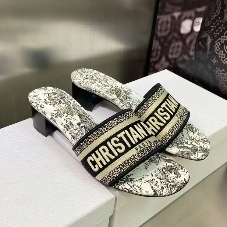 hype Christian Dior Slippers