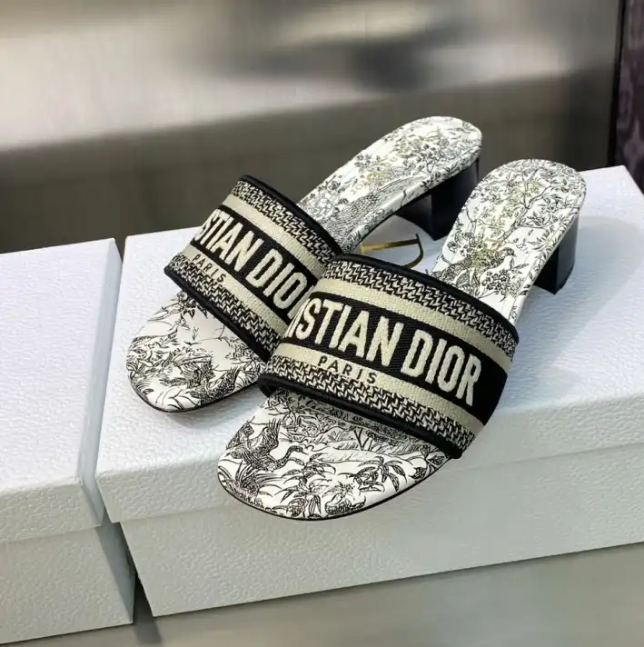 hype Christian Dior Slippers