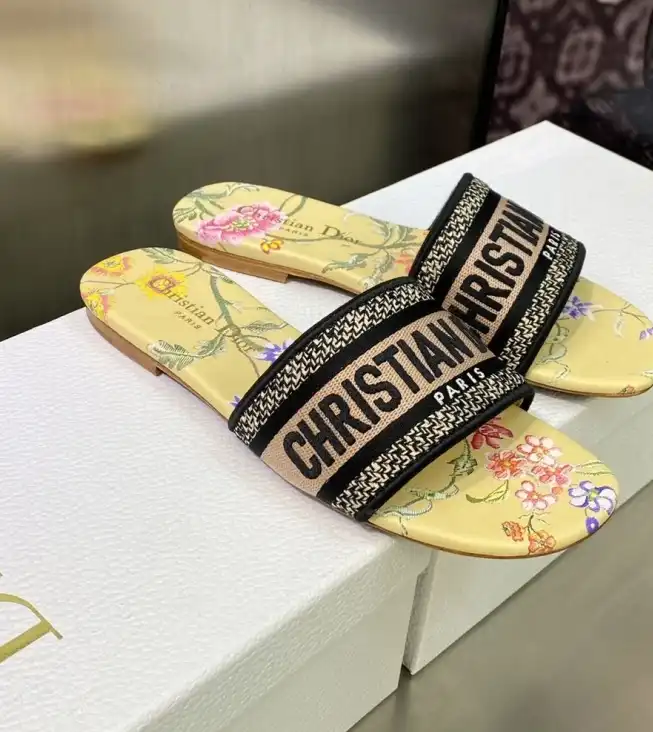 hype Christian Dior Slippers