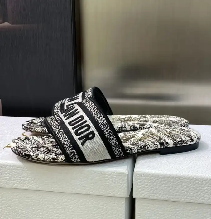 hype Christian Dior Slippers