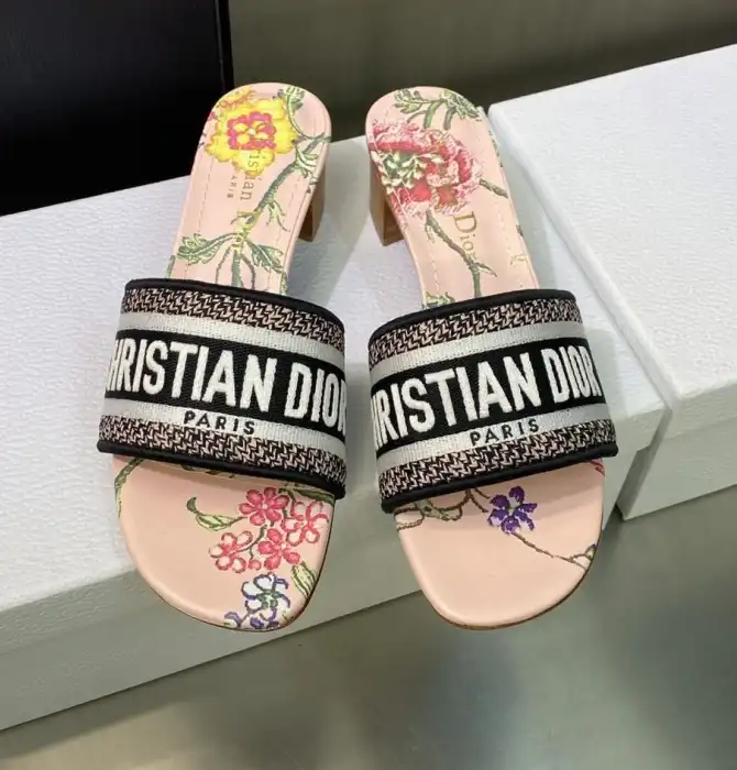 hype Christian Dior Slippers