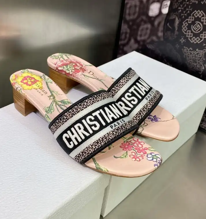 hype Christian Dior Slippers