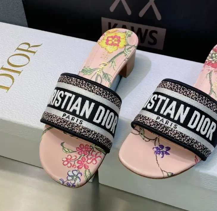 hype Christian Dior Slippers