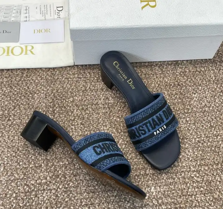 hype Christian Dior Slippers