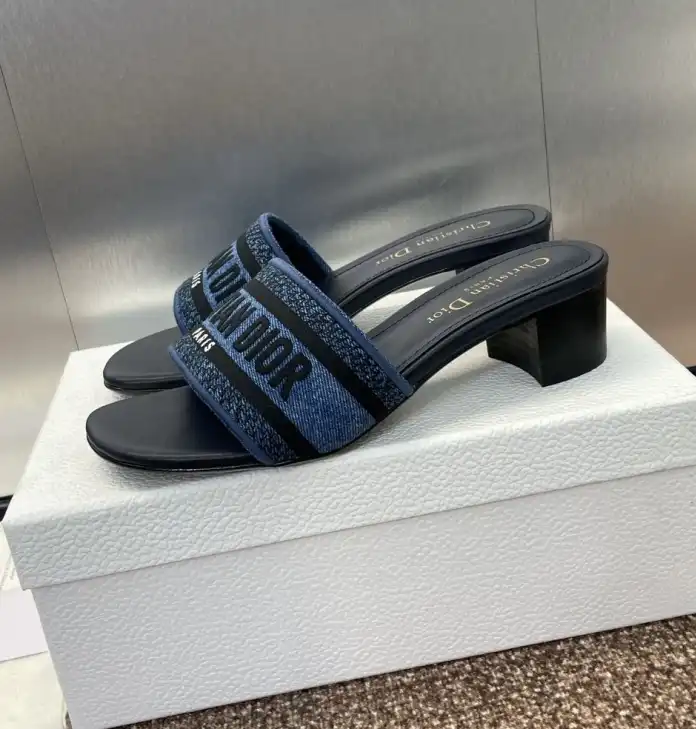 hype Christian Dior Slippers