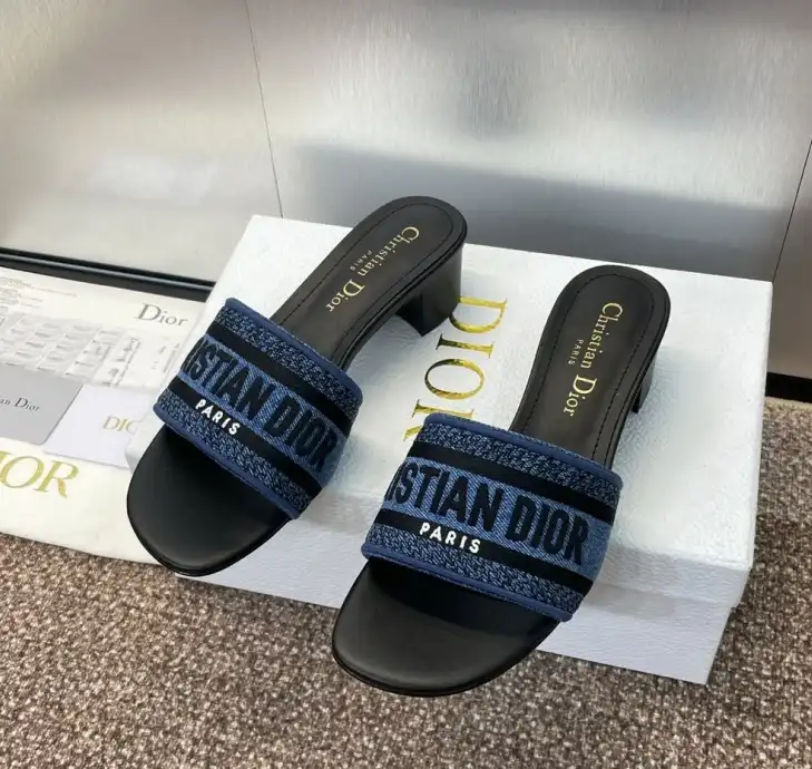 hype Christian Dior Slippers