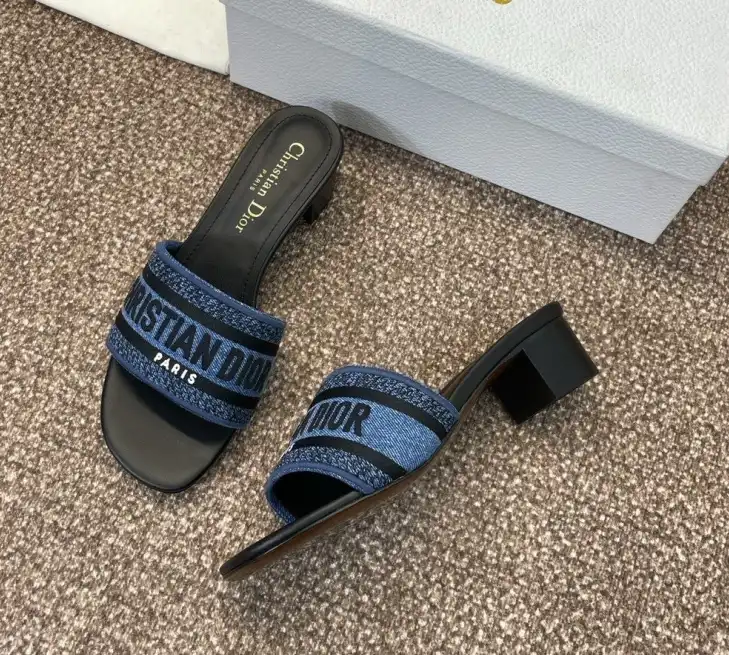 hype Christian Dior Slippers