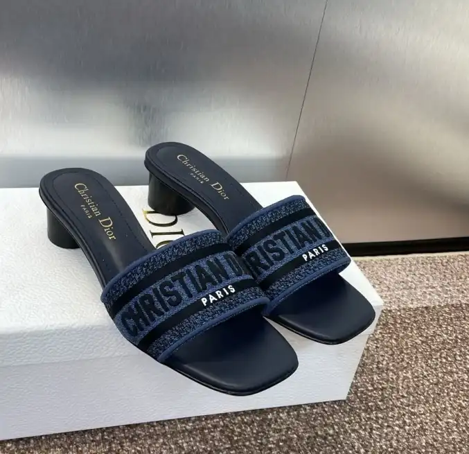 hype Christian Dior Slippers