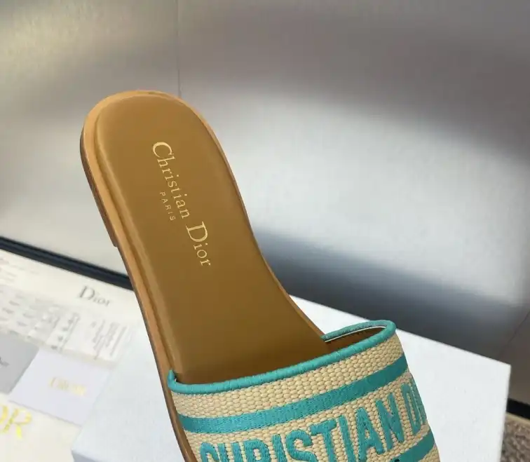 hype Christian Dior Slippers